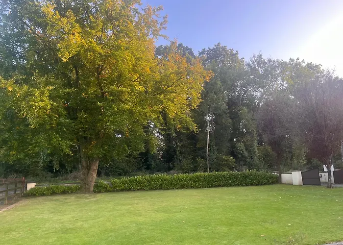 Countryside Family 홈스테이